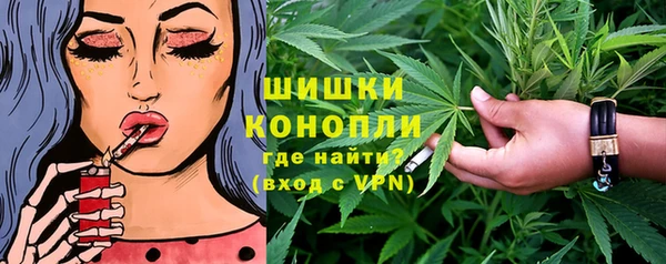 PSILOCYBIN Верхний Тагил